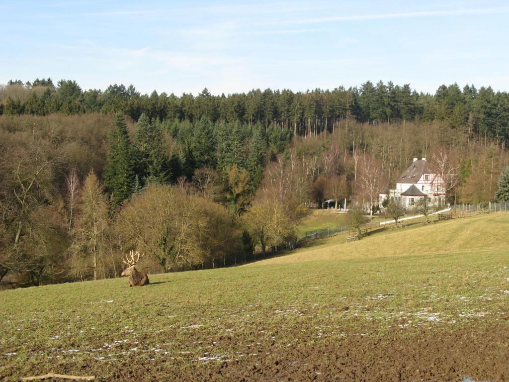 Waldhotel Forsthaus Remstecken Koblenz (Rhineland-Palatinate) Exterior foto